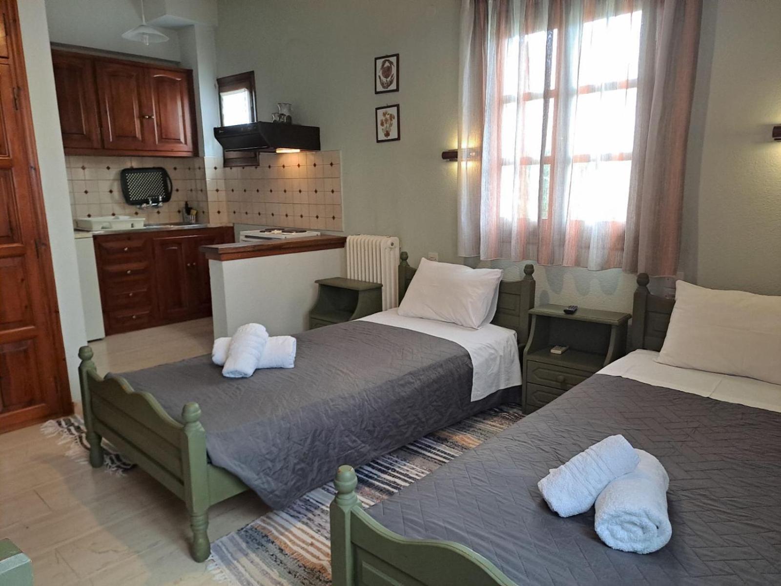 Olga Studios Tsagarada Ngoại thất bức ảnh