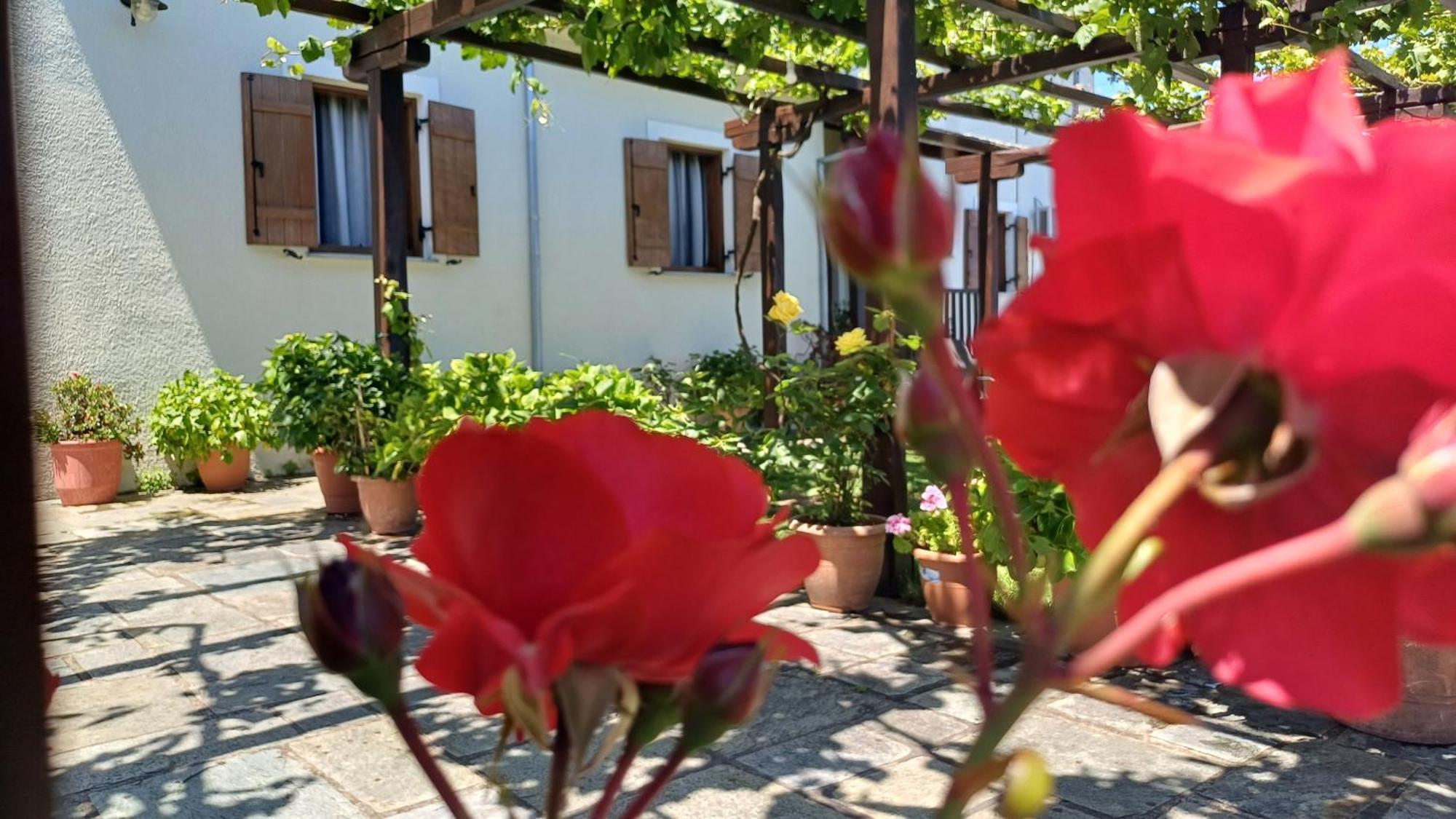 Olga Studios Tsagarada Ngoại thất bức ảnh